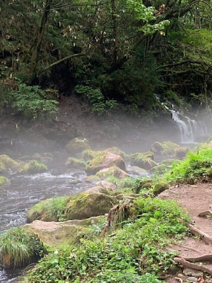 タロット占い「フォーチュン ヒーリング ™」公式ブログ 山形県 鶴岡市 | 秋田のパワースポット「元滝伏流水」