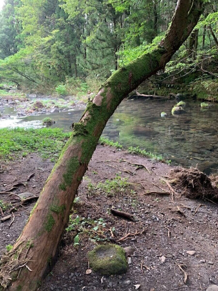 タロット占い「フォーチュン ヒーリング ™」公式ブログ 山形県 鶴岡市 | 秋田のパワースポット「元滝伏流水」