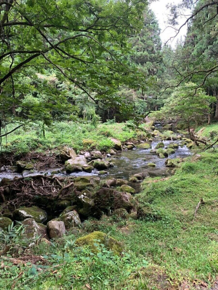 タロット占い「フォーチュン ヒーリング ™」公式ブログ 山形県 鶴岡市 | 秋田のパワースポット「元滝伏流水」