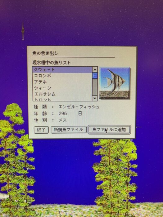 タロット占い「フォーチュン ヒーリング ™」公式ブログ 山形県 鶴岡市 | 愛用しているパソコンのご紹介 PowerMacG4,G3,Quadra